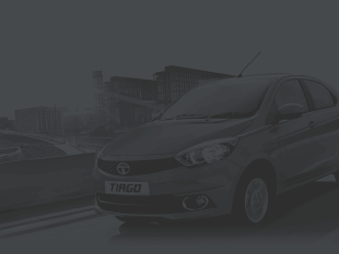 Case Studies Case Studies