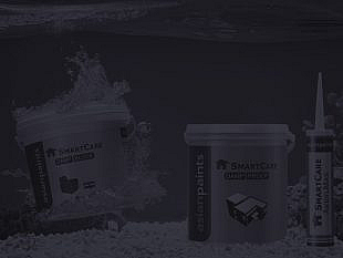 Case Studies Case Studies